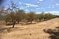 Property photo of LOT 261 Chivell Road Angle Vale SA 5117