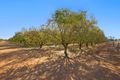 Property photo of LOT 261 Chivell Road Angle Vale SA 5117