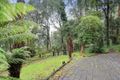 Property photo of 3 Peters Road Belgrave VIC 3160