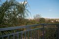 Property photo of 54/8 Koorala Street Manly Vale NSW 2093