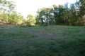 Property photo of 13 Eudlo Flats Road Diddillibah QLD 4559