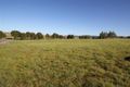 Property photo of 181 Bellevue Road Tenterfield NSW 2372