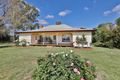 Property photo of 33 Hollins Road Red Cliffs VIC 3496
