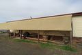 Property photo of LOT 14 First Street Wild Horse Plains SA 5501