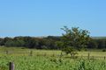Property photo of LOT 1 Acacia Street Killarney QLD 4373