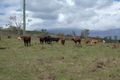 Property photo of LOT 33 Longatong Road Coringa QLD 4621