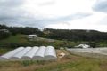 Property photo of 323 Old Coast Road Korora NSW 2450
