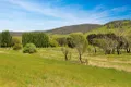 Property photo of 303 Omeo Highway Omeo VIC 3898