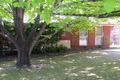 Property photo of 15 Wallara Crescent Croydon VIC 3136