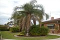 Property photo of 127 McBryde Terrace Whyalla SA 5600