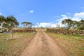 Property photo of 260 Towrang Vale Road Dairymans Plains NSW 2630