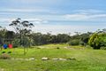 Property photo of 12 Taylor Road Woodford NSW 2778