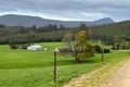 Property photo of 199 Pinega Road Ringarooma TAS 7263