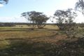 Property photo of 648 Goondooloo Road Bowhill SA 5238