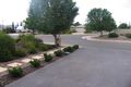 Property photo of 12 Albert Place Murray Bridge SA 5253