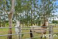 Property photo of 18 Chauvel Street Kyogle NSW 2474