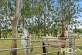 Property photo of 18 Chauvel Street Kyogle NSW 2474