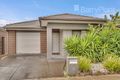 Property photo of 6 Evergreen Crescent Craigieburn VIC 3064