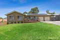Property photo of 7 Osprey Place Surfside NSW 2536