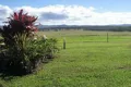 Property photo of 523 Longlands Gap Road Wondecla QLD 4887