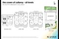 Property photo of 24 Coutts Crescent Collaroy NSW 2097