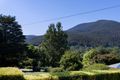 Property photo of 53 Donna Buang Road Warburton VIC 3799