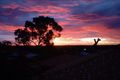 Property photo of 8 Kalk Place Joondalup WA 6027