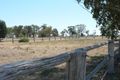 Property photo of 965 East Coonamble Road Gilgandra NSW 2827