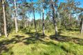 Property photo of 569 Upper Lansdowne Road Upper Lansdowne NSW 2430