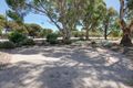 Property photo of 44-50 Boundary Road Boston SA 5607