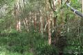 Property photo of 178 Jackson Road Wamuran QLD 4512