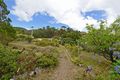 Property photo of 27 Paringa Road Glenorchy TAS 7010