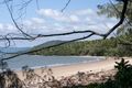 Property photo of 38 Esplanade Wonga Beach QLD 4873