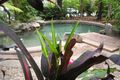 Property photo of 2/11 Tropic Court Port Douglas QLD 4877