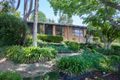 Property photo of 33 David Avenue East Maitland NSW 2323