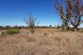 Property photo of 836 Tank Road Barabba SA 5460