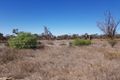 Property photo of 836 Tank Road Barabba SA 5460