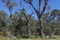 Property photo of 123 Bellingham Parade Wellard WA 6170