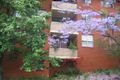 Property photo of 3/10 Leichhardt Street Glebe NSW 2037