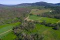 Property photo of LOT 197 Monaghan Road Palm Grove QLD 4800