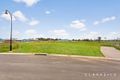 Property photo of 67 Petaltail Street Chisholm NSW 2322