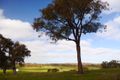 Property photo of 124 Kays Road Waterloo VIC 3373