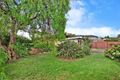 Property photo of 61 Waitara Parade Hurstville Grove NSW 2220