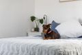 Property photo of 146 Wilding Street Doubleview WA 6018