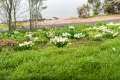 Property photo of 161 Camms Road Kayena TAS 7270