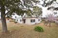 Property photo of 88 Blackett Avenue Young NSW 2594