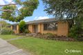 Property photo of 49 Lucerne Crescent Frankston VIC 3199
