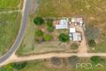 Property photo of 375 Grahamstown Road Sandy Gully NSW 2729