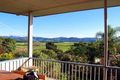 Property photo of 51 Ewing Street Murwillumbah NSW 2484