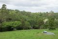Property photo of 14 Payne Street Eumundi QLD 4562